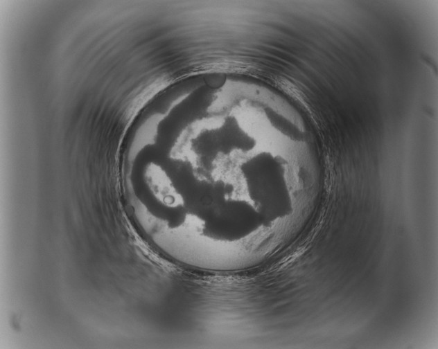 X0000100331087200806261256