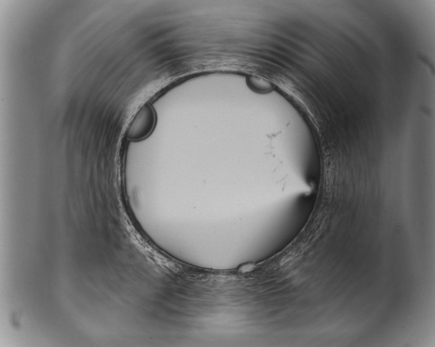 X0000100331088200806261256