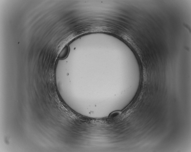 X0000100331089200806261256