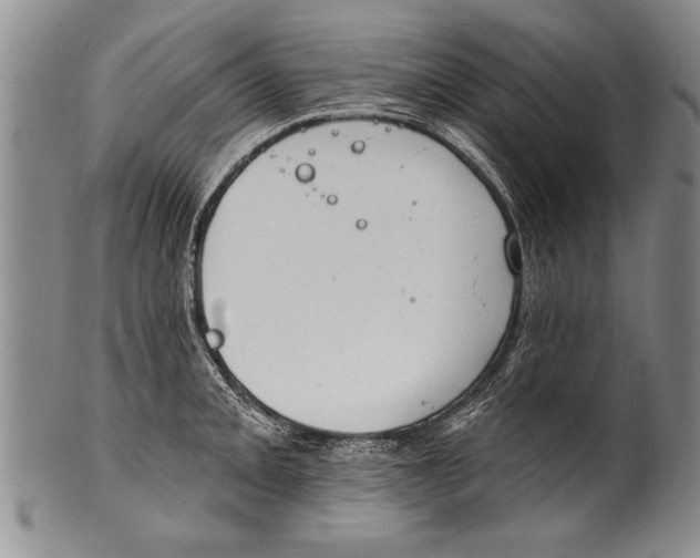 X0000100331093200806261256