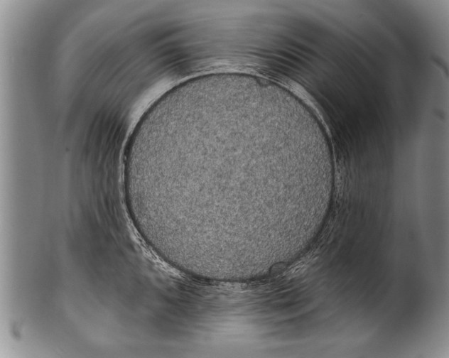 X0000100331096200806261255