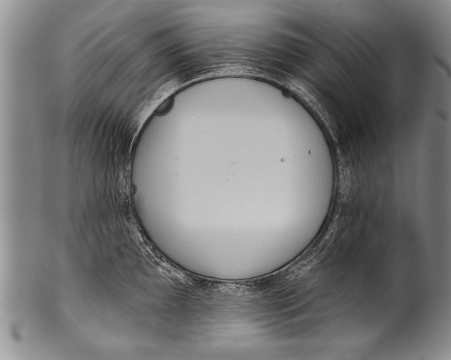 X0000100331097200806261255