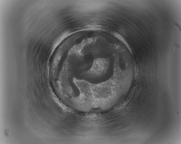 X0000100331099200806261255