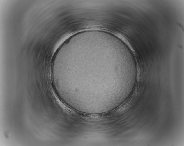 X0000100331101200806261255