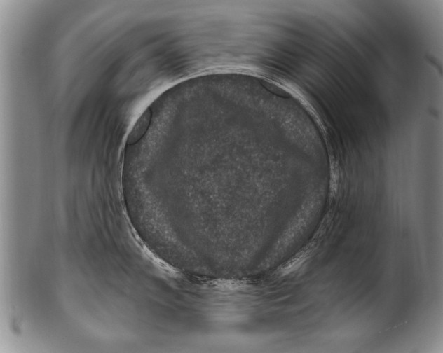 X0000100331102200806261255