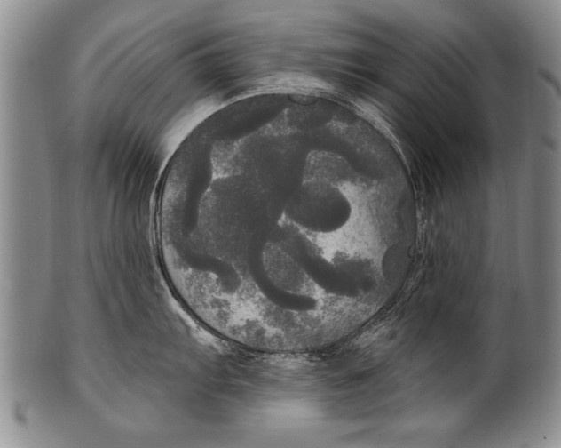 X0000100331103200806261255