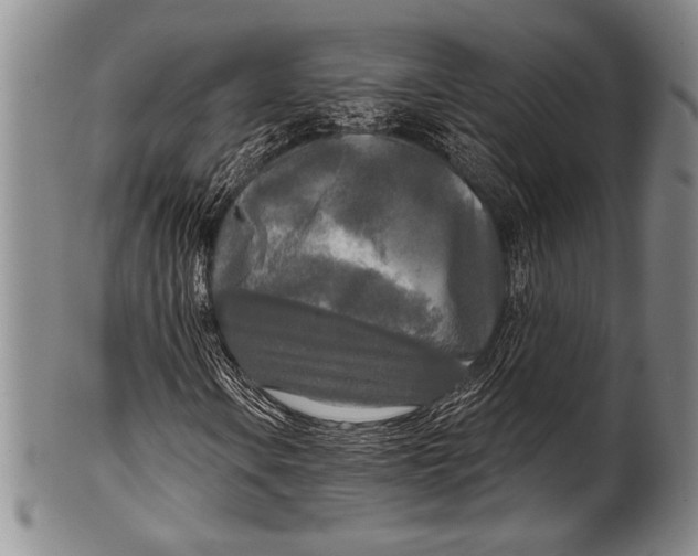 X0000100331106200806261255