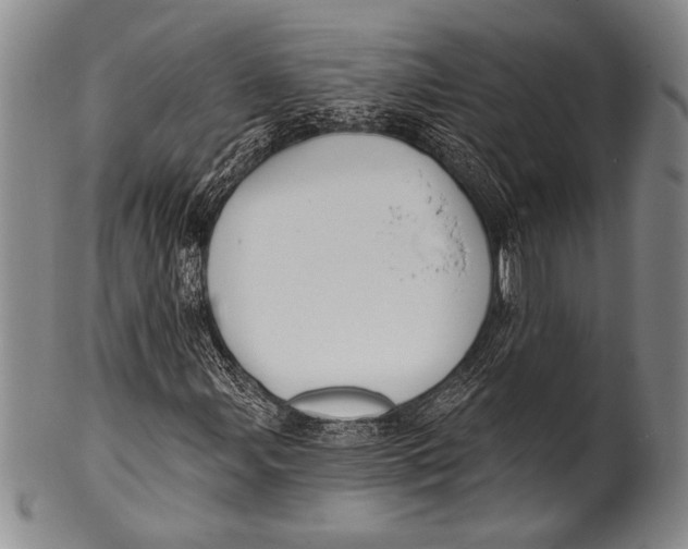 X0000100331107200806261255