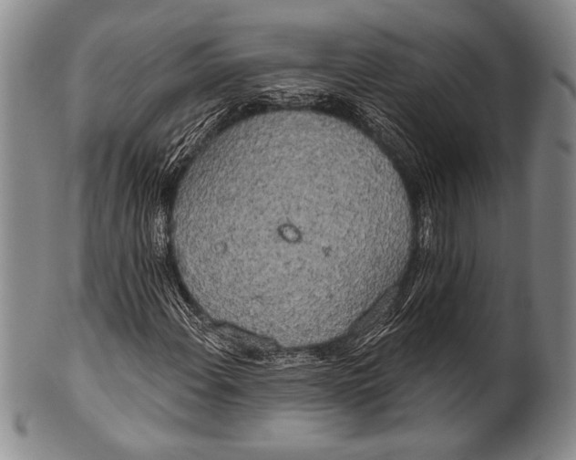 X0000100331108200806261255