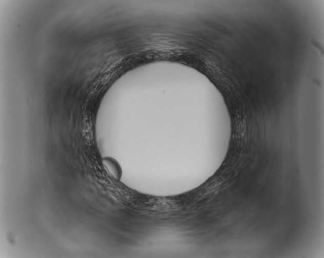 X0000100331109200806261255