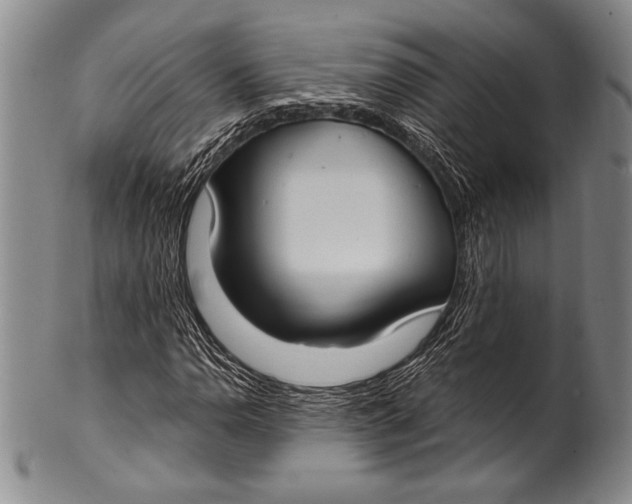 X0000100331110200806261255