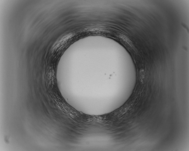 X0000100331111200806261255