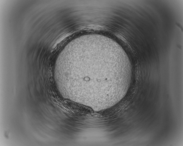 X0000100331112200806261255