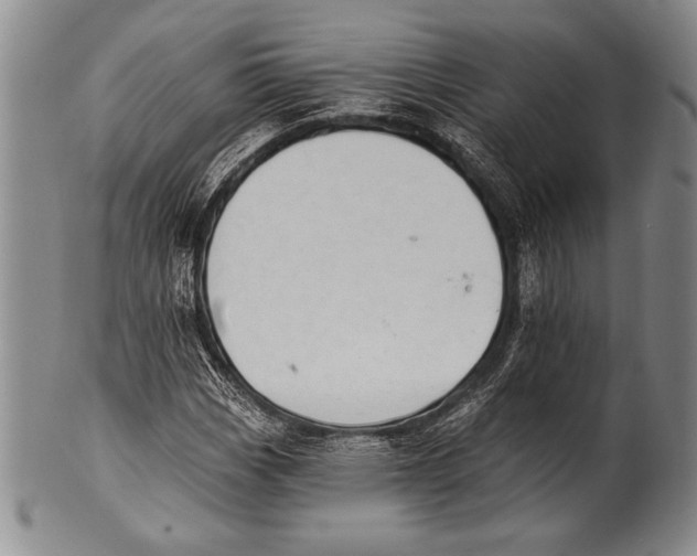 X0000100331113200806261255