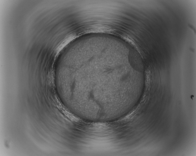 X0000100331114200806261255