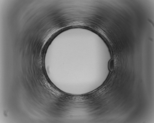 X0000100331116200806261255