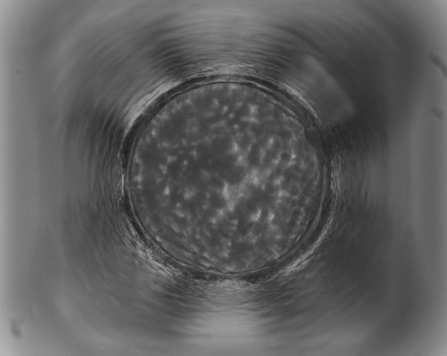 X0000100331117200806261255