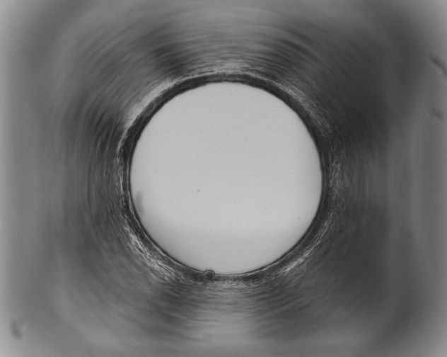 X0000100331118200806261255