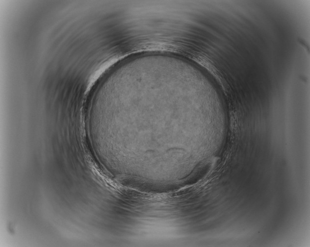 X0000100331120200806261255