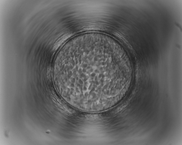 X0000100331121200806261255