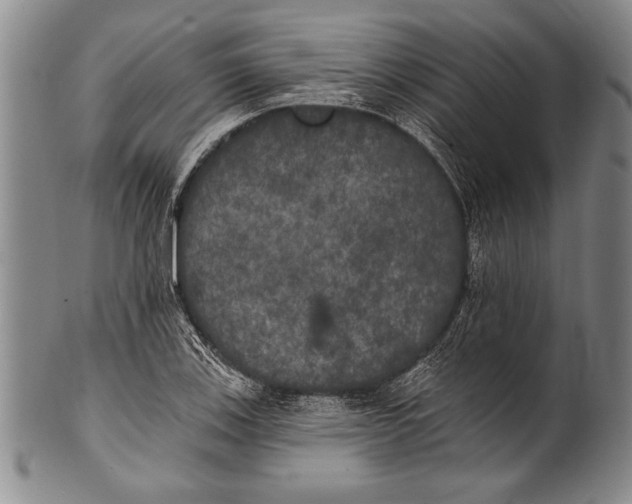 X0000100331123200806261255