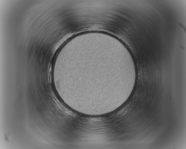 X0000100331126200806261255