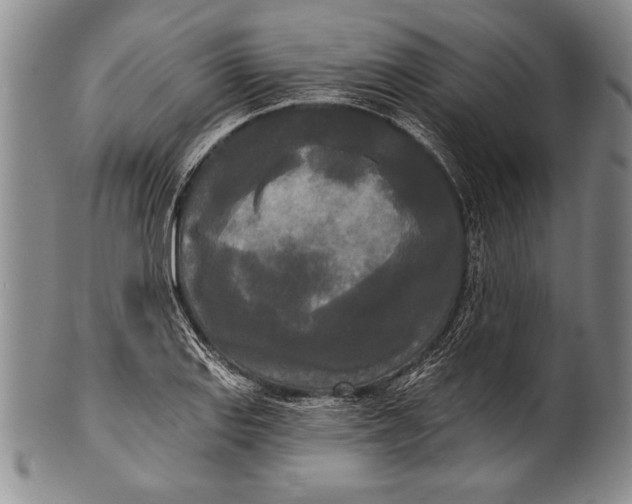 X0000100331127200806261255