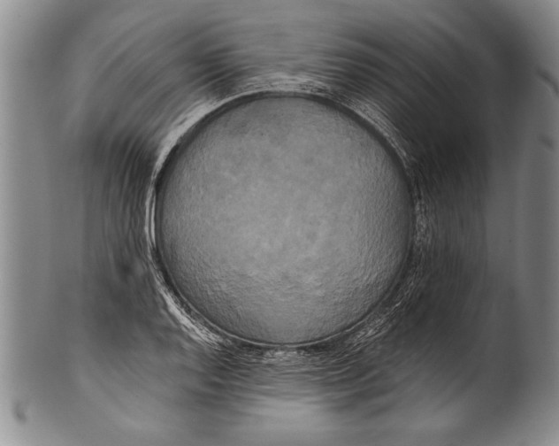 X0000100331128200806261255