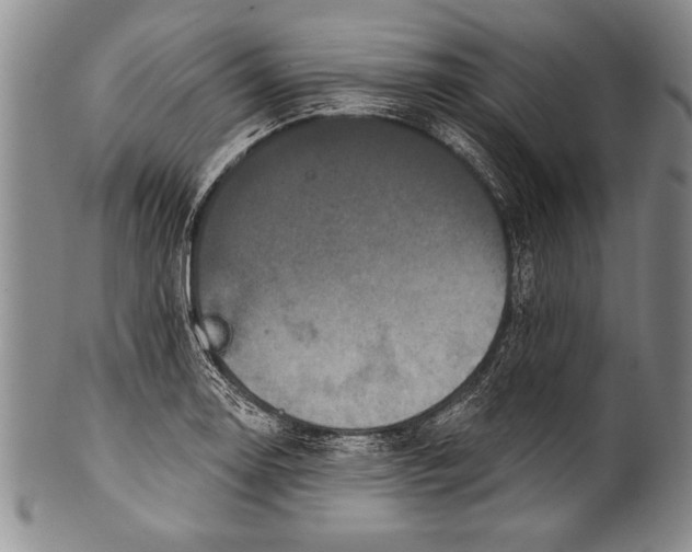 X0000100331130200806261255