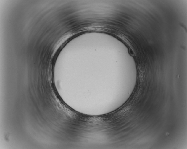 X0000100331131200806261255