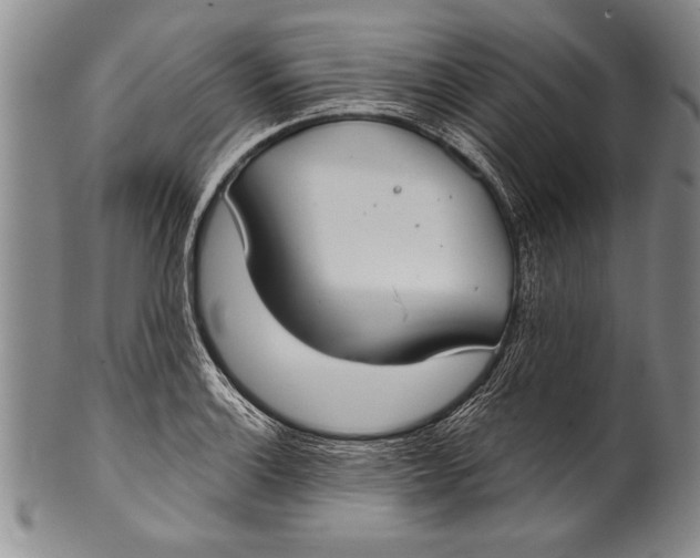 X0000100331132200806261255