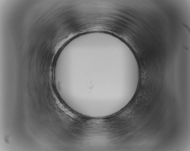 X0000100331134200806261255