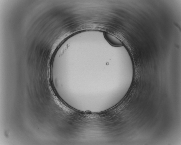 X0000100331136200806261255