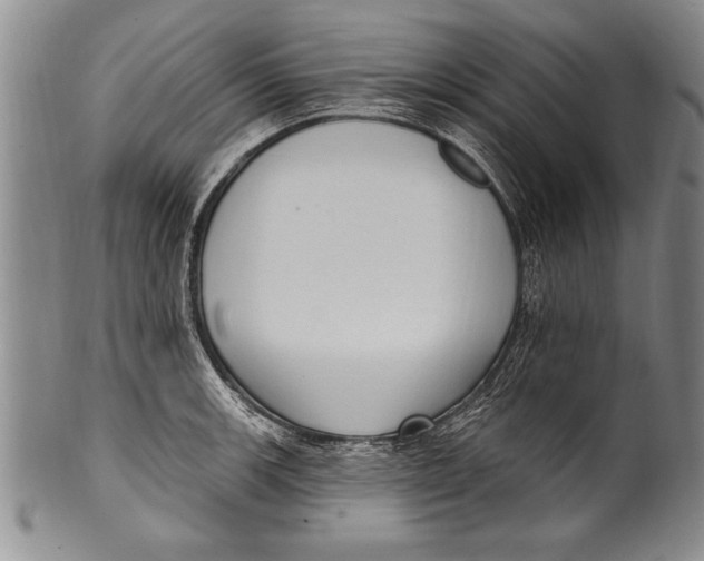 X0000100331139200806261255