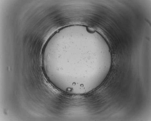 X0000100331140200806261255