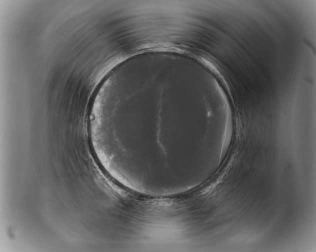 X0000100331141200806261255