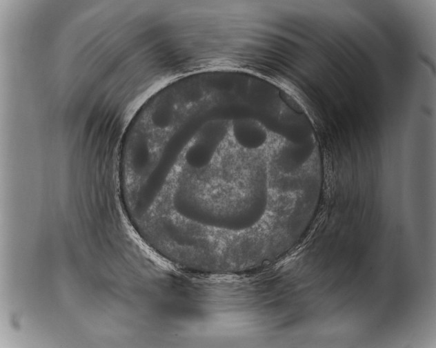 X0000100331142200806261255