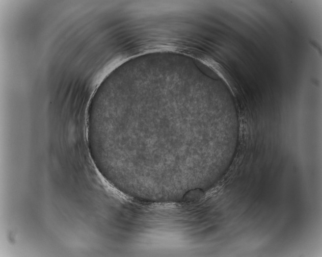 X0000100331143200806261255