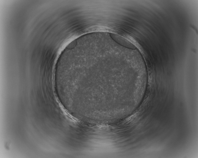 X0000100331144200806261255