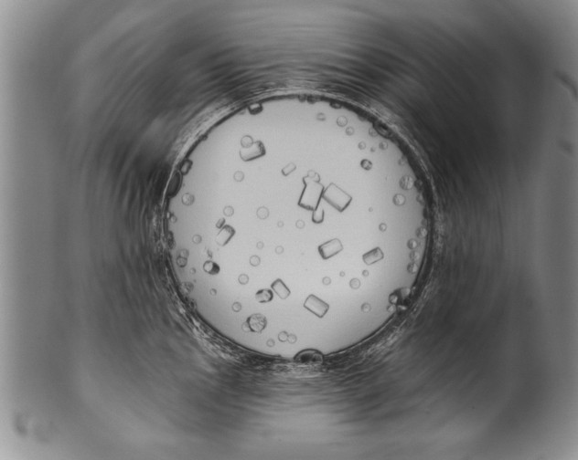 X0000100331145200806261255