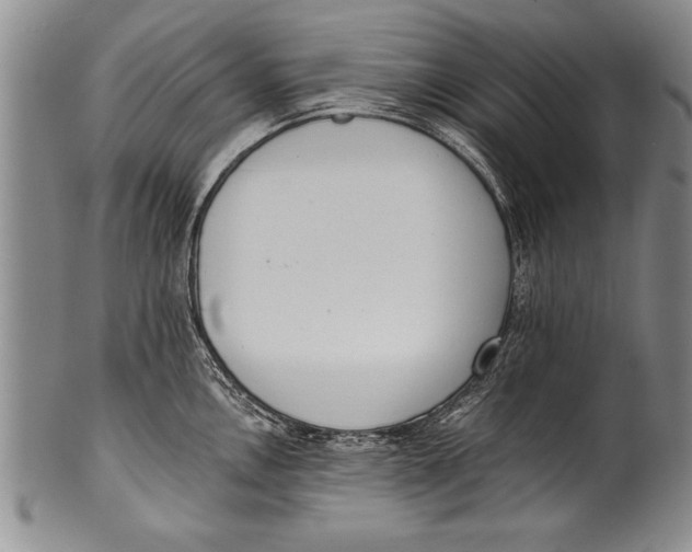 X0000100331146200806261255