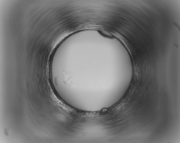 X0000100331147200806261255