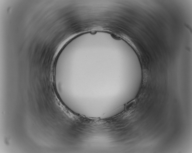 X0000100331148200806261255