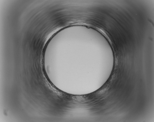 X0000100331149200806261255