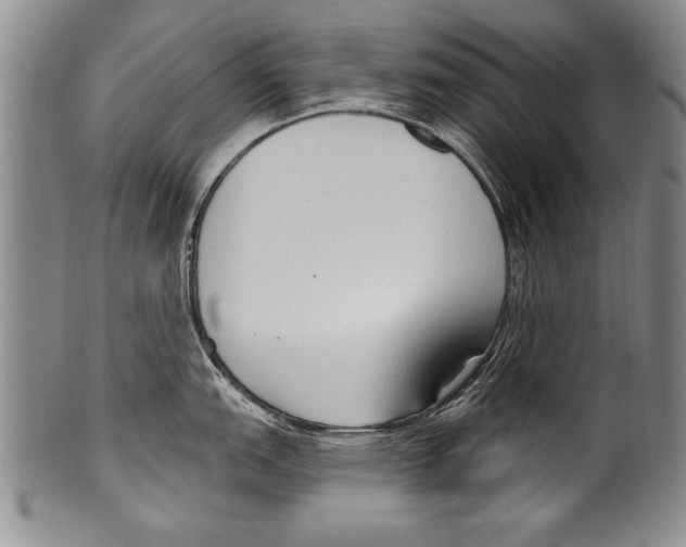 X0000100331151200806261255