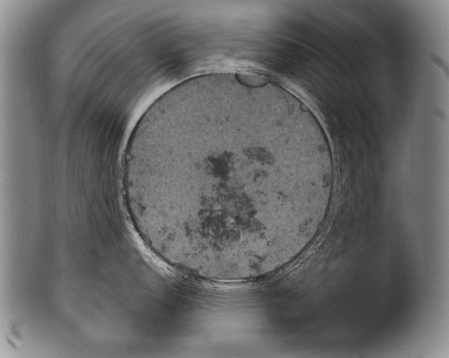 X0000100331152200806261255