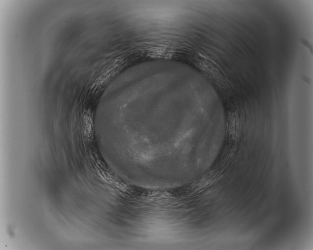 X0000100331154200806261255