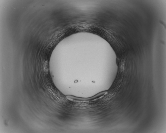 X0000100331156200806261255