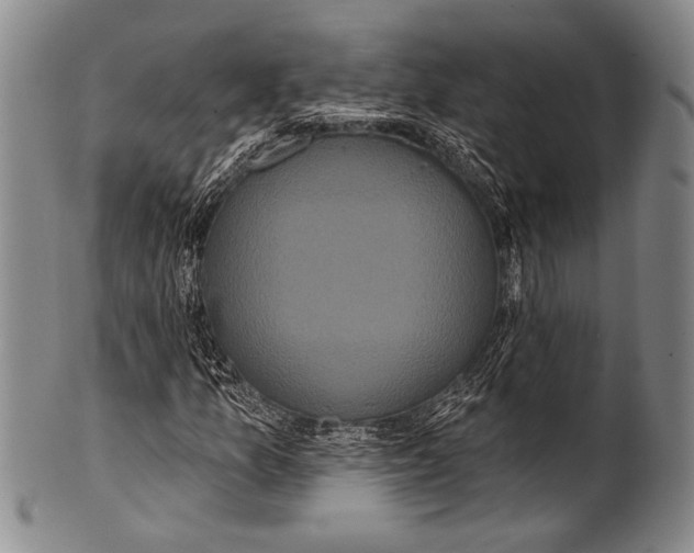 X0000100331157200806261255