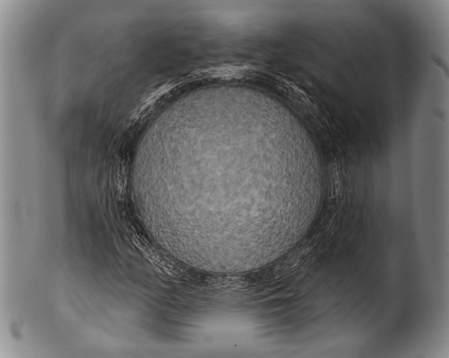 X0000100331158200806261255